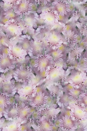 数码花型印花花型图片