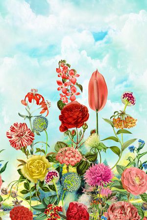花卉印花花型图片