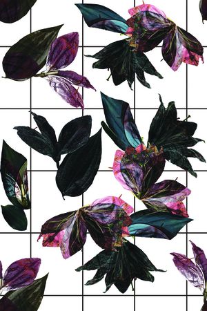 矢量印花花型图片