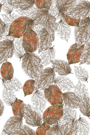 秋冬花型印花花型图片