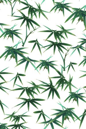 国画竹子印花花型图片