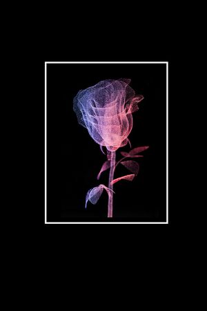 抽象花卉印花花型图片