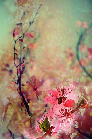 数码花型印花花型图片