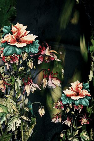花卉印花花型图片