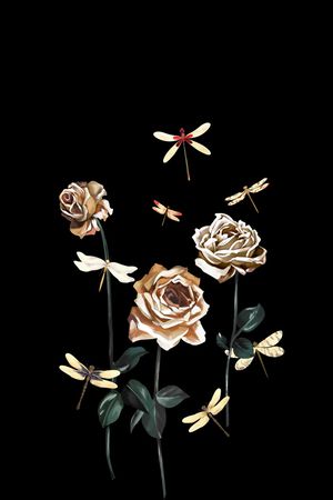 DOLCE GABBANA印花花型图片